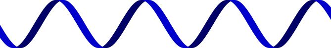 ssDNA.png