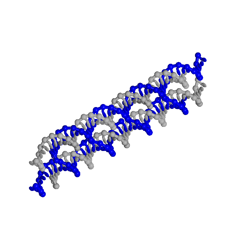 DAEoxDNA