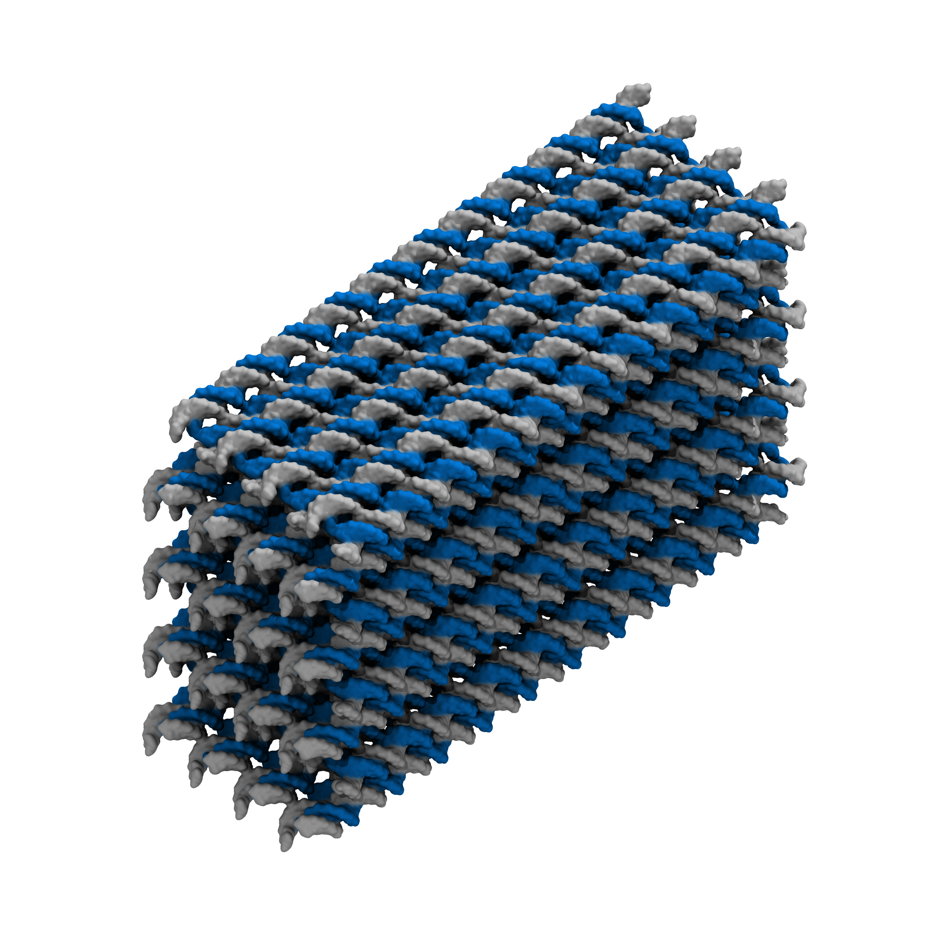 Cuboid
