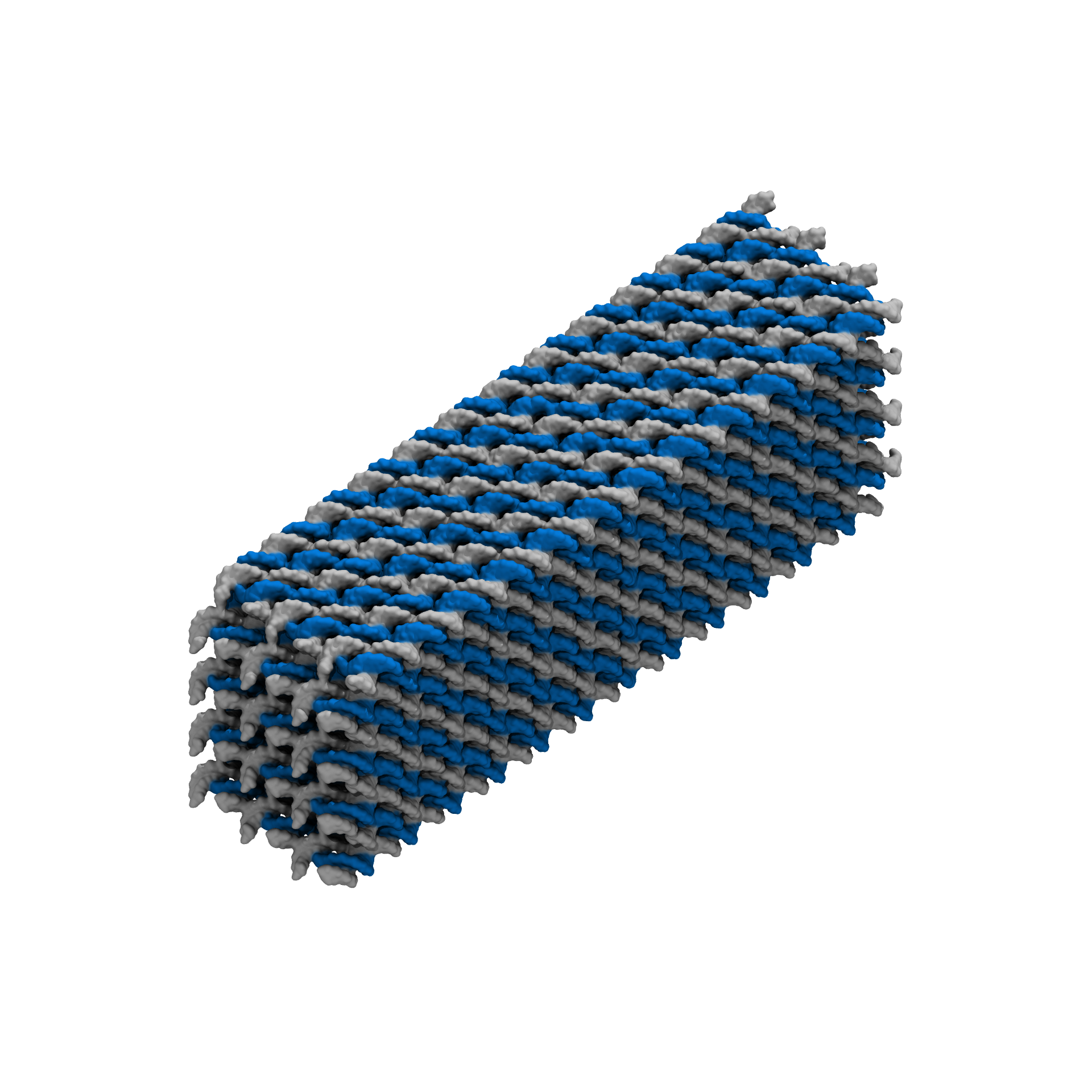 Cuboid
